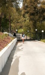 ����� ����������, Devonki.net �������� ���������� ���������� �����