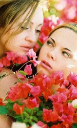 ���������� �������                           Devonki.net ��� ���������� �������� � ������ ��������