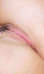 ��������� �������                                               Devonki.net ��������� ������� ����������� ��������