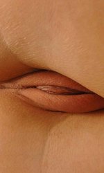 �������� �����                                               Devonki.net �������� ����� ������� ������