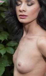 ����, ����� �����, Devonki.net ������������ ������� � ��������� ��������