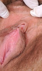 ����� �������                                                    ��������� �����                                                    �����                                                    ����� ����                                                    Devonki.net �������� ����� �� ������ � �����